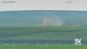 wildfire early detection
