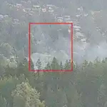 Wildfires Affect Animals