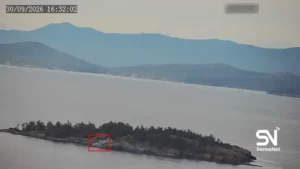 wildfire early detection