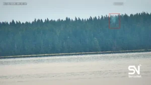 Wildfire early detection