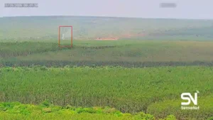Wildfire early detection
