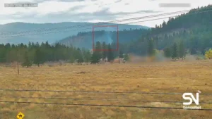 wildfire early detection