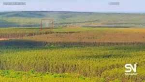 wildfire early detection