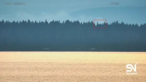 wildfire detection