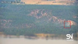 wildfire early detection