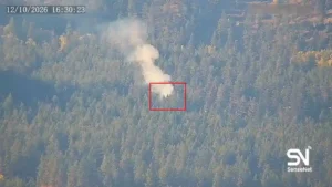 Wildfire early detection