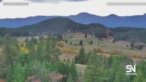 wildfire early detection