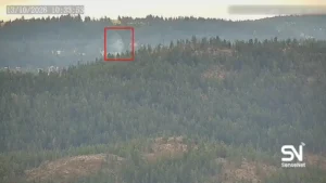 wildfire early detection