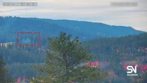 wildfire early detection