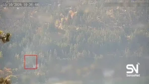 wildfire early detection