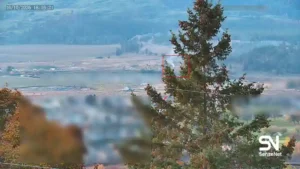 wildfire early detection