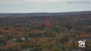 wildfire early detection