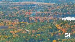 wildfire early detection