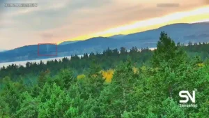 wildfire early detection