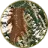 Satellite Imagery icon – sensenet Satellite Imagery icon - sensenet