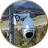 Smoke Detection Cameras icon – sensenet Smoke Detection Cameras icon - sensenet